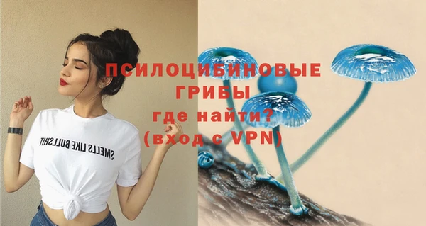 прущие грибы Бугульма