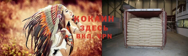стаф Бородино