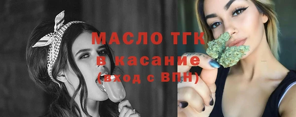 стаф Бородино
