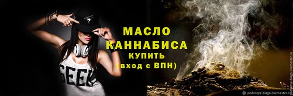 стаф Верея