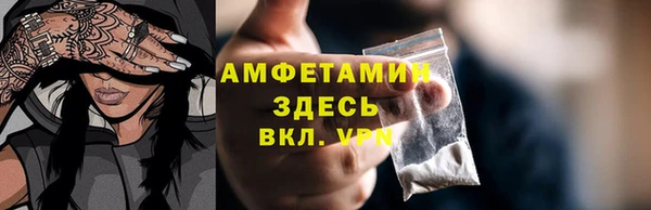 стаф Верея