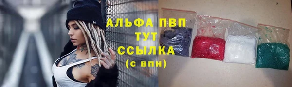 стаф Верея