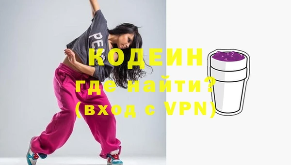 стаф Бородино