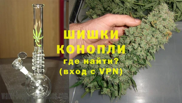 прущие грибы Бугульма