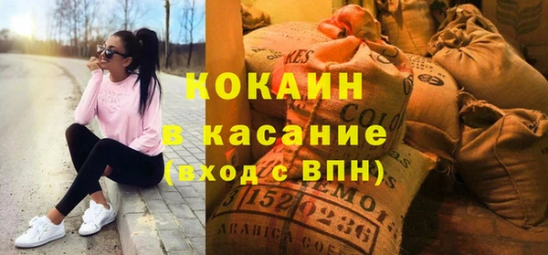 стаф Бородино