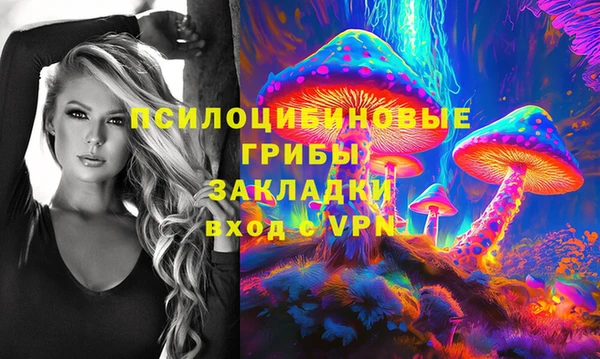 прущие грибы Бугульма