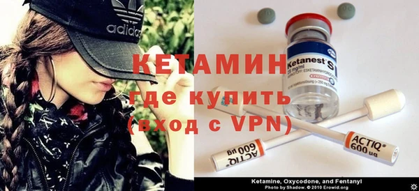 стаф Бородино