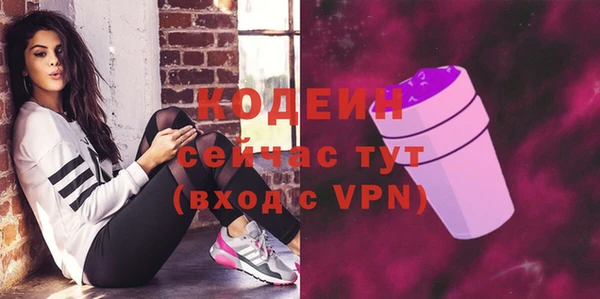 стаф Бородино