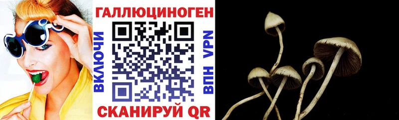 Псилоцибиновые грибы мицелий  Горячий Ключ 